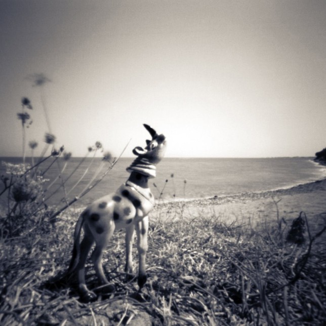 PURGATORY BEACH, Camera obscura 6x6 Negativ